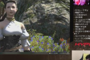 【FF14】プロゲーマーのウメハラさん、ヒカセンになるｗｗｗｗｗｗ