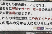 【悲報】公園さん、とんでもない理由で野球やサッカーで遊ぶのを禁止してしまう…