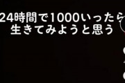 【画像】TikTok民、謎の「2chごっこ」を始めるｗｗｗｗ