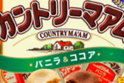 【画像】この世で1番美味しいカントリーマアムはこれ！！！