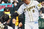 佐藤輝明オープン戦戦４号　阪神球団新人最多、72年望月超え