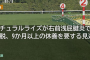 ナチュラルライズが右前浅屈腱炎で離脱、9か月以上の休養を要する見込み