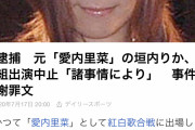 【悲報】愛内里菜の妹　逮捕wwwwwwwwwwwwwwwwwwww