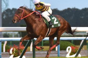 ネロ産駒 明日の小倉5R新馬戦に怒涛の7頭出し
