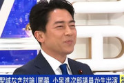 小泉進次郎って正しくね？