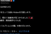 【ホロライブ】はあちゃま虫食いVtuberを引退するそうです→後継者：らでん