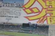【祝！】選抜代替試合「２０２０年甲子園高校野球交流試合（仮称）」