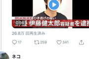 【悪質！！】伊藤健太郎容疑者、ひき逃げ容疑認める「現場から離れてしまった」