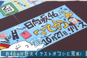【日向坂46】まなふぃ作シナモロール、サンリオ問題クリア？ｗｗｗｗｗｗｗｗｗ