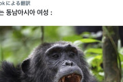【画像】東南アジア人とレスバした韓国人、世界中からバカにされるwwwwww