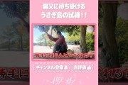 【動画】【⬆️本編はコチラ⬆️】関西弁でうさぎとコミュニケーション！？🐰【ダイジェスト 】#shorts #櫻坂チャンネル