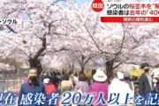 【K防疫】感染者が前年比“400倍”のソウルで花見解禁ｗｗｗｗｗ