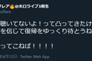フレア「凸ってきたけど はあちゃまを信じて復帰をゆっくり待とうね」