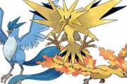 【スゲエ】新種の昆虫に『伝説の鳥ポケモン』サンダー・ファイヤー・フリーザーにちなんだ名前がつけられる！さすが世界のポケモンですわ