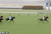 【東京5R】ウンブライル強すぎワロタｗｗｗｗｗｗｗｗｗｗｗｗｗｗ