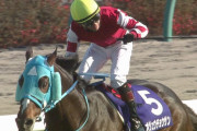 【競馬】オジュウチョウサン 今後は障害に専念