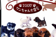 【共感】ノンスタ井上が「ペットの持ち込みはご遠慮下さい」の注意書きにショック‥‥「物みたいな言い方…悲しくなる」