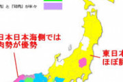 【画像】カレーに使う肉は「豚肉」なのが当たり前だぞ。豚肉以外は田舎