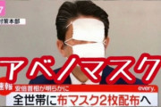【悲報】アベノマスク、カビだらけだったｗｗｗｗ【変色、毛混入、異臭】