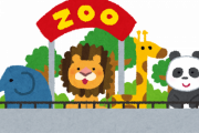 【謎】動物園や水族館、遊園地に一人で来てる奴の正体ｗｗｗｗｗｗｗｗ