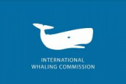 【IWC】国際捕鯨委員会「破産の恐れ」　3年前に日本脱退、本部建物の売却も