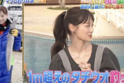 【乃木坂46】山下美月、ぐるナイで乃木中『ヒカリタチウオ』エピソードwww