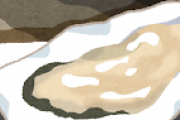 【質問】牡蠣←どんな味すんの？？？？