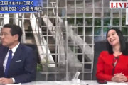 【ｗ】NISA課税、番組で江田憲司の隣にいた三浦瑠麗氏「誤解じゃない。何度も念押しした」「『私は民主党じゃないんだから知りませんよ】って言われた」
