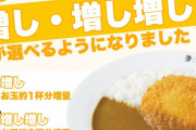 CoCo壱番屋「皆さんのご要望にお答えしてカレールー増しと増し増しを追加しましたぁ！」ワイ「ええやん！当然無料なんよな？」