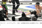 【ボクシングルール】動画・フロイド・メイウェザーが朝倉未来に２RTKO勝利　超RIZIN【煽った挙句！？同じ豊橋市民としては？】