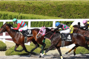【競馬】JRAのWIN5、初の5億超えで史上最高配当に！なんと的中1票