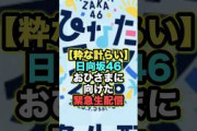 見逃し厳禁！日向坂46が仕掛けるサプライズ #日向坂46
