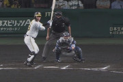 甲子園のバックネット裏にトラ出現ｗｗｗｗｗｗｗｗｗｗｗ