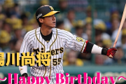 本日7月17日は陽川尚将選手29歳の誕生日です。おめでとうございます。