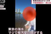 在日中国人「ペッ！東京の海水、マジで核汚染の味がする！！」