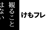 「よっぽどのことがない限り、アニメ版けもフレ２は今後も観ることはないと思います」