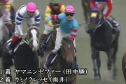 主戦と呼べる騎手が2人以上いた馬