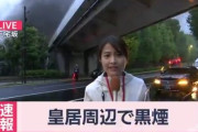 皇居周辺に黒煙が上がり「まさかテロか！？」と報道が大騒ぎ。実際は･･･