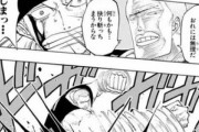 『ワンピース』のロロノア・ゾロ、めった斬りにされる