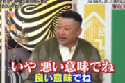 峯岸みなみ「AKB48は嘘つきじゃありません！」