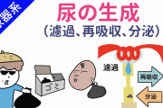 【不潔】父親「お前、風呂で小便してないか？」ワイ「ｴｯ!?」