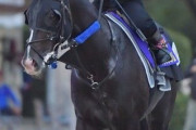 【小粒だがそれなりに揃う】JRA　香港国際競走出走の日本馬発表