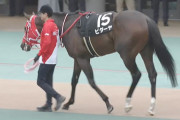 【競馬予想】[1] 第42回東海ステークス(GⅢ) /2025
