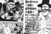 【ワンピース】七武海さん、「ミホーク」と「ハンコック」以外雑魚しかいない・・・