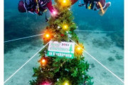 【動画】和歌山・串本町の沖合に水中クリスマスツリーが登場！海の中で輝く幻想的な光景！