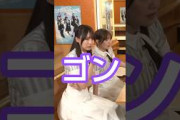 乃木坂46の話題動画とファンの反応まとめ