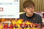 【聖人】ヒカキンとかいう1回も炎上したことのない奇跡のYouTuber