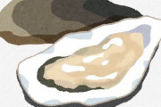 牡蠣「海の汚れを大量に蓄積しています」←こいつがご馳走みたいに言われる理由