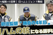 【 新庄監督〝勝負の4年目〟】稲葉篤紀 田中幸雄 小笠原道大 が注目！ 北海道日本ハムファイターズ の核になる選手は？ ＜ 日本 プロ野球 名球会 ＞