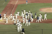 ヤクルト、2日連続サヨナラホームランｗｗｗｗｗｗｗｗｗｗ